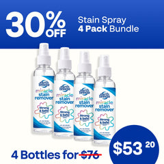 Stain Spray Bundle - 4 Pack